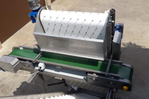 Green bean processing machines, Bean cluster removing belt, Selection, sorting of product