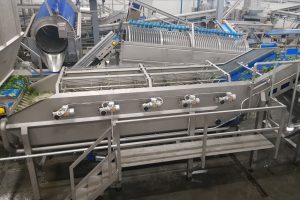 Spinach processing machines, Spinach washer, Washer for spinach, Food processing equipment, Washer for food industry, Washer for vegetable