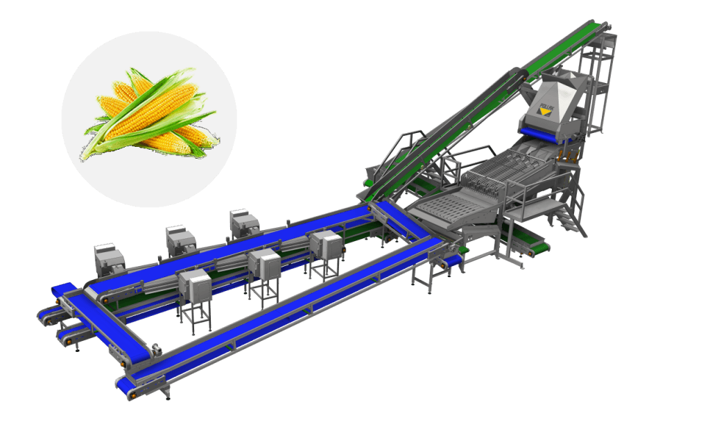 Line for sweet corn, Sweet corn processing, Food processing equipment